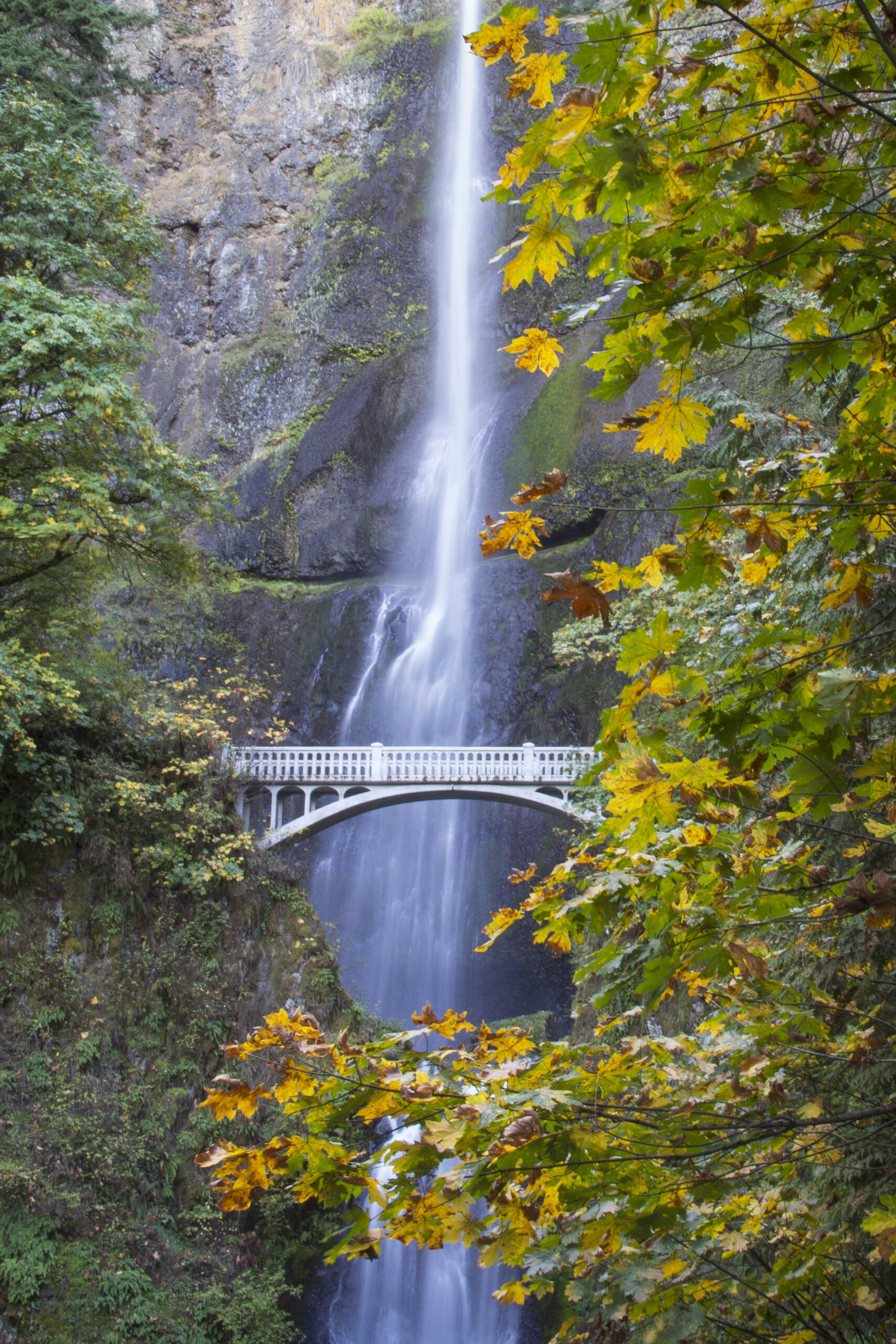 image of Multnomah Falls in Oregon